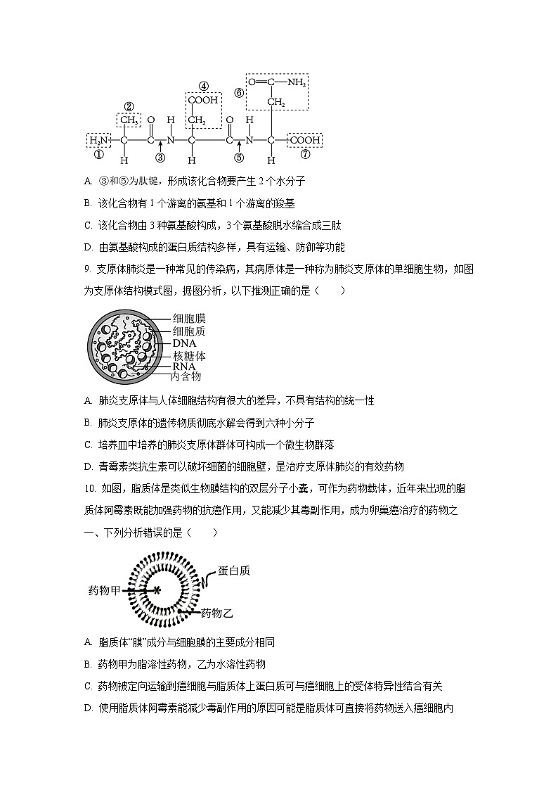 【生物】山东省德州市五校2025-2026学年高一上学期10月联考试题（学生版）第3页