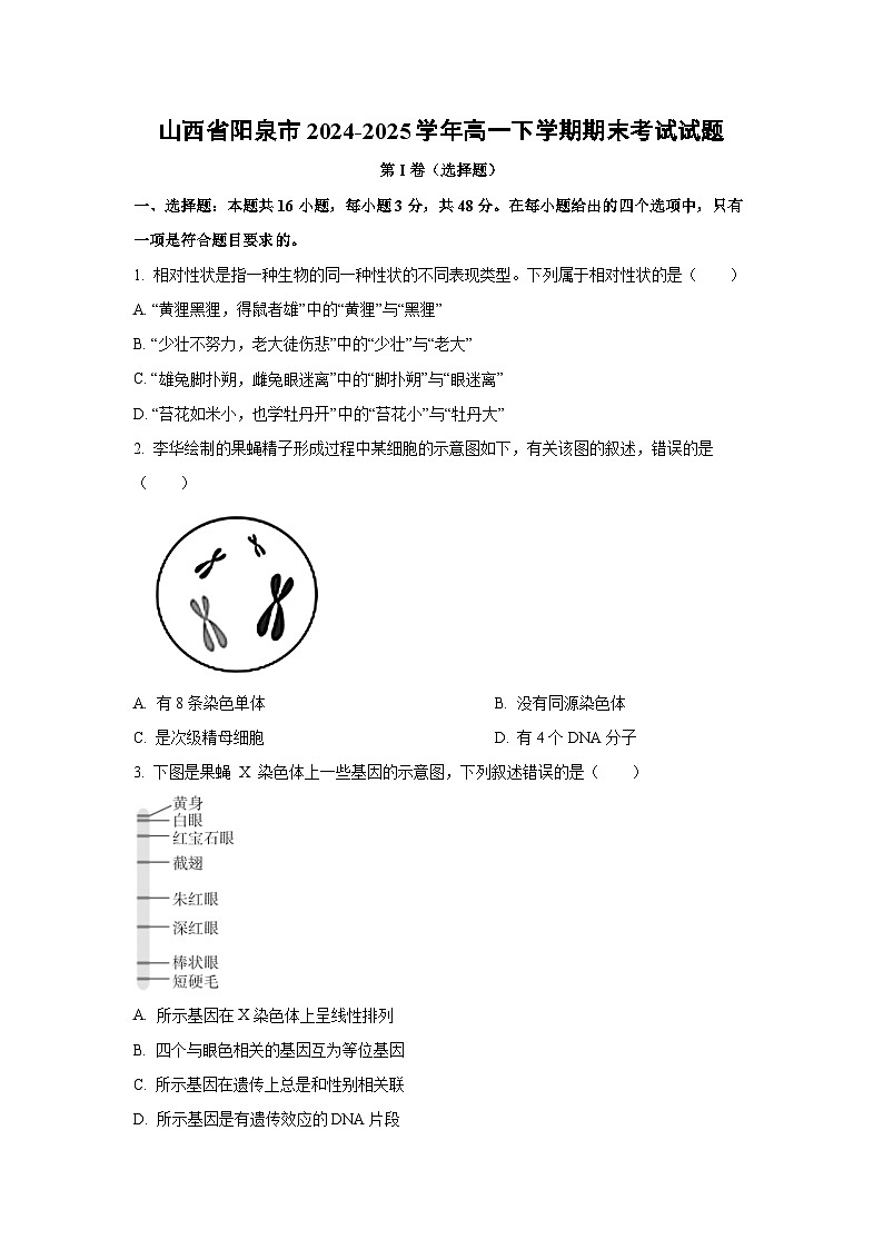 【生物】山西省阳泉市2024-2025学年高一下学期期末考试试题（学生版）第1页