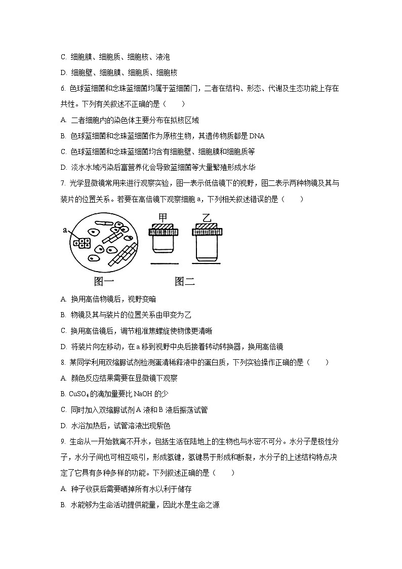 【生物】陕西省宝鸡市某校2025-2026学年高一上学期第一次月考试卷（学生版）第2页