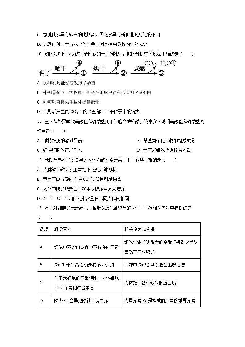 【生物】陕西省宝鸡市某校2025-2026学年高一上学期第一次月考试卷（学生版）第3页