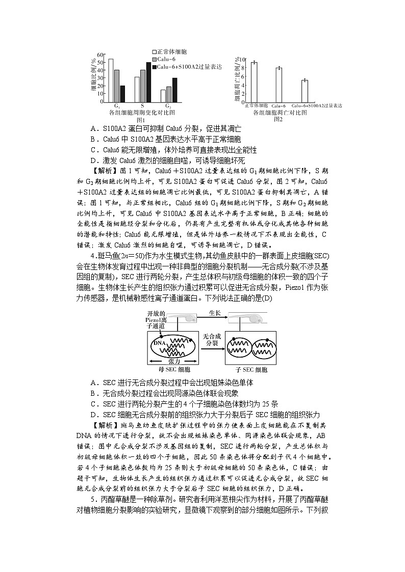 湖南省长沙市湖南师范大学附属中学2025-2026学年高三上学期月考卷（三）生物试卷第2页