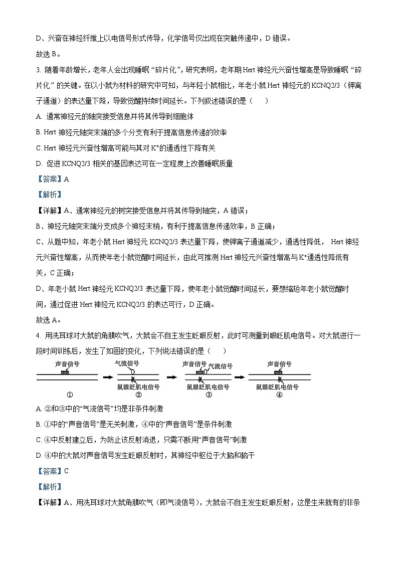 山东省济宁市第一中学2025-2026学年高二上学期10月月考生物试题第2页