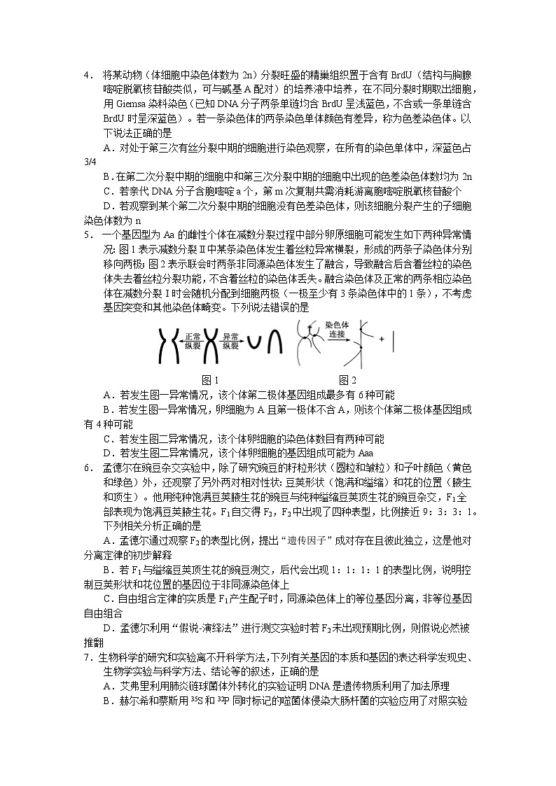 云南省玉溪一中2025—2026学年上学期高三适应性测试（六）生物试卷第2页