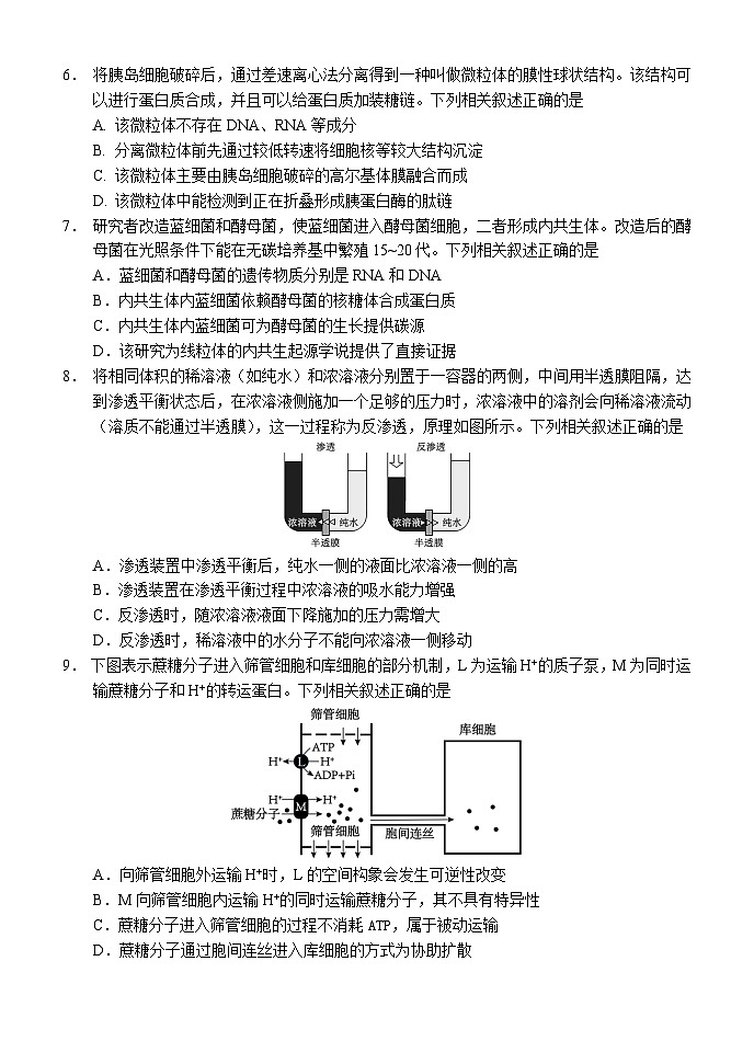 辽宁省沈阳市东北育才学校等校2026届高三上学期10月联合考试生物学试题第2页