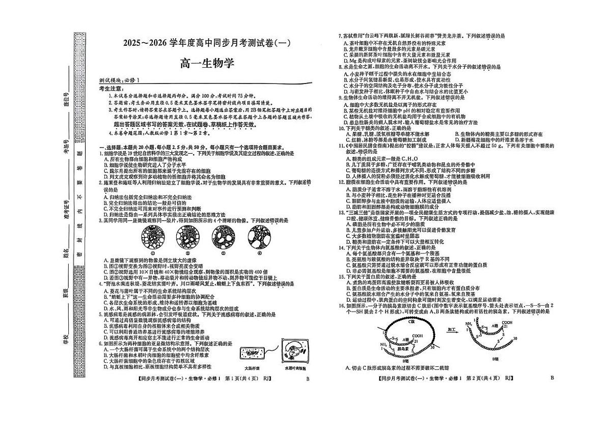 陕西省宝鸡市2025-2026学年高一上学期同步月考测试一（10月期中）生物试卷（有答案）第1页