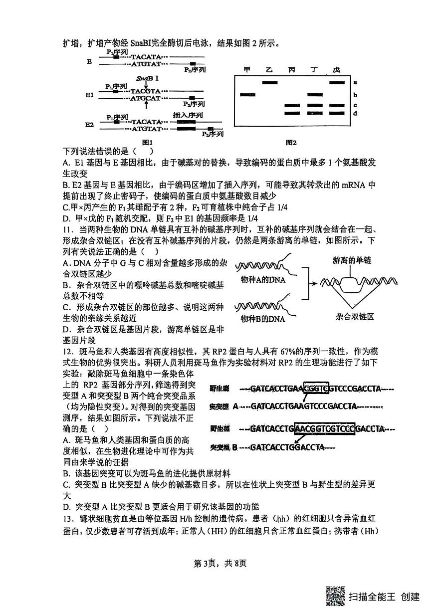 山西省太原市山西大学附属中学校2025-2026学年高三上学期10月模块诊断生物试卷（含答案）第3页
