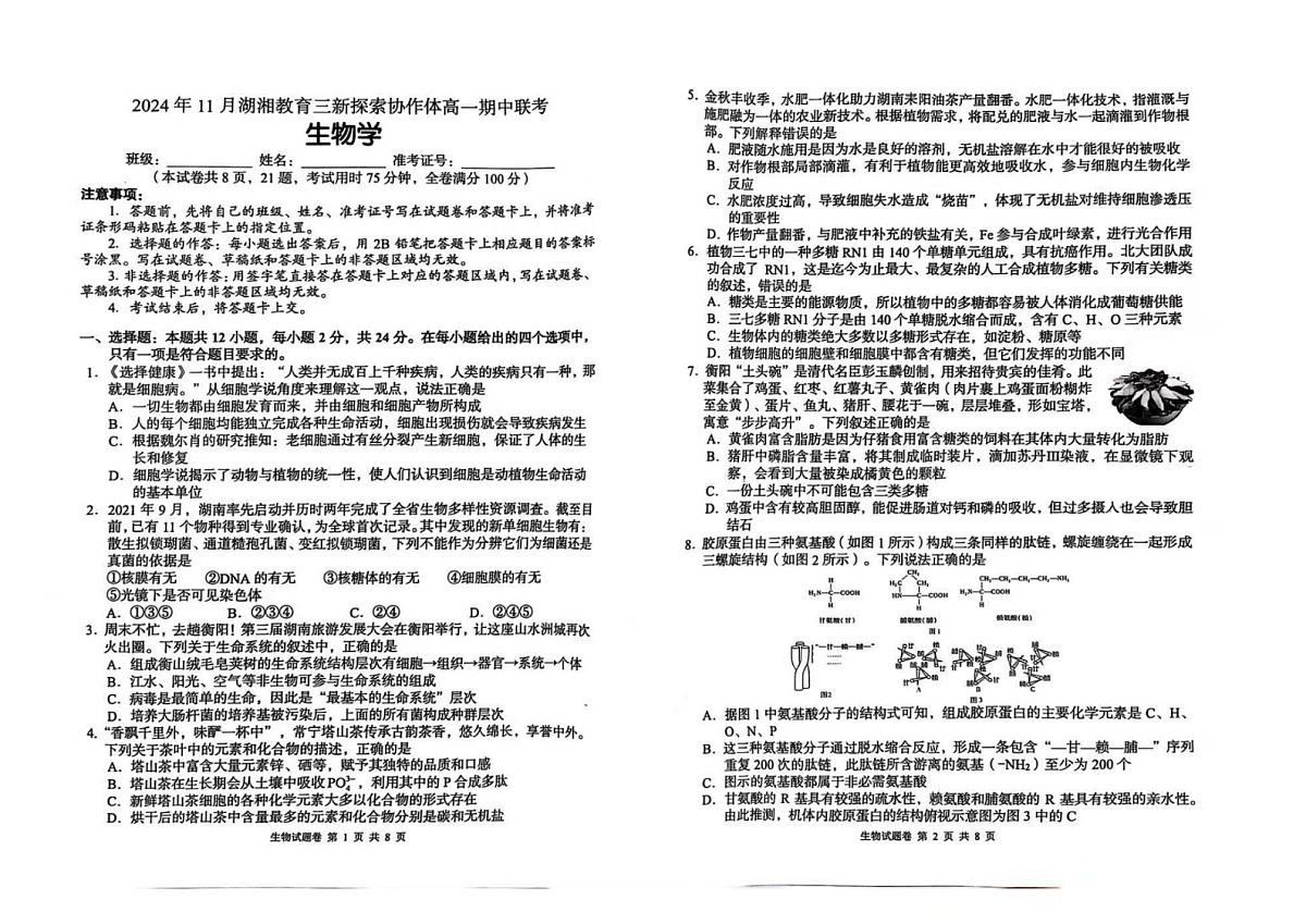 湖湘教育2024-2025学年高一上学期期中考试生物试卷第1页
