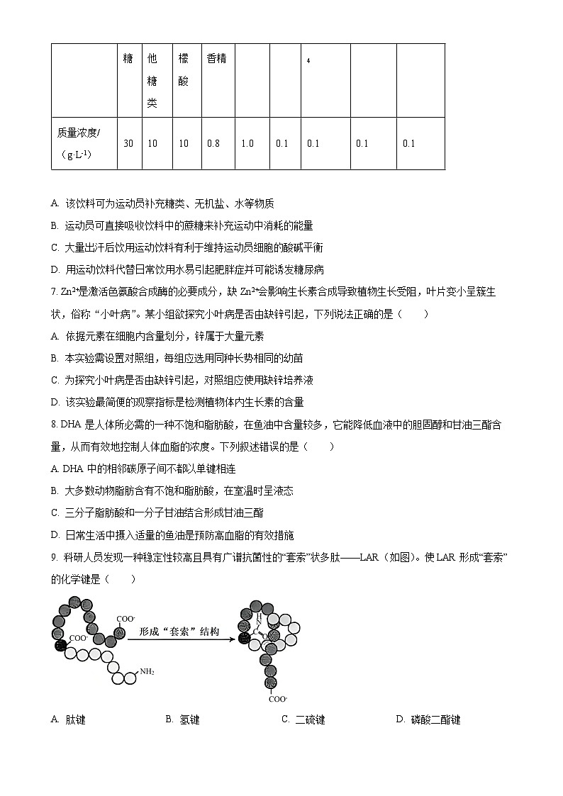 湖北省武汉东湖高新区2025-2026学年高一上学期期中考试生物试卷（原卷版）第3页