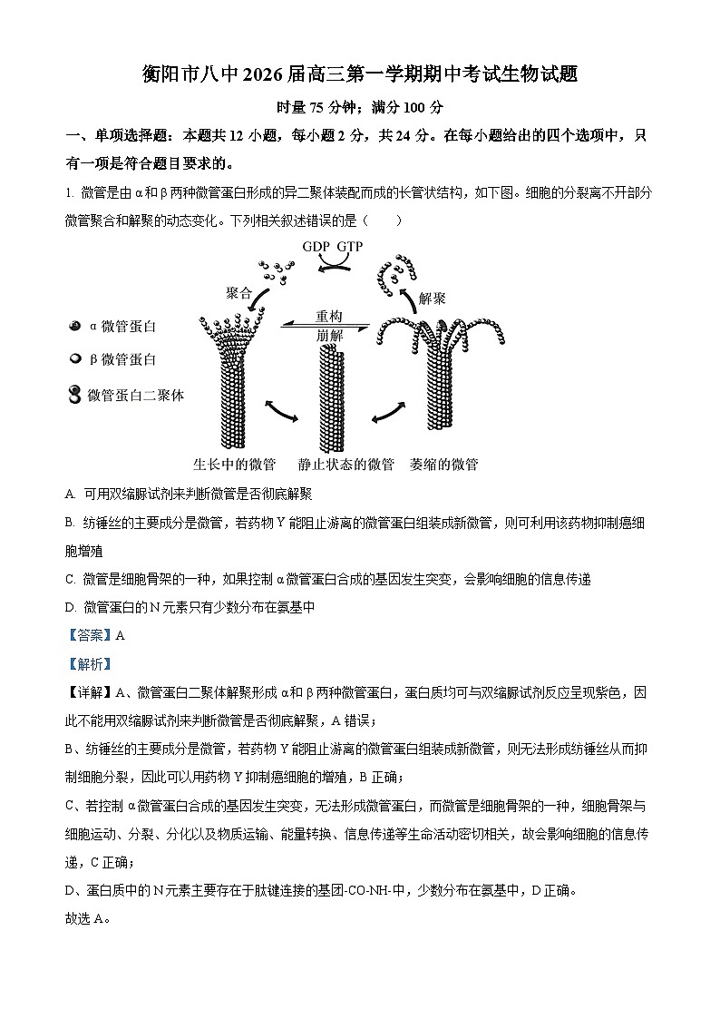 湖南省衡阳市雁峰区衡阳市第八中学2025-2026学年高三上学期11月期中生物试题 Word版含解析第1页