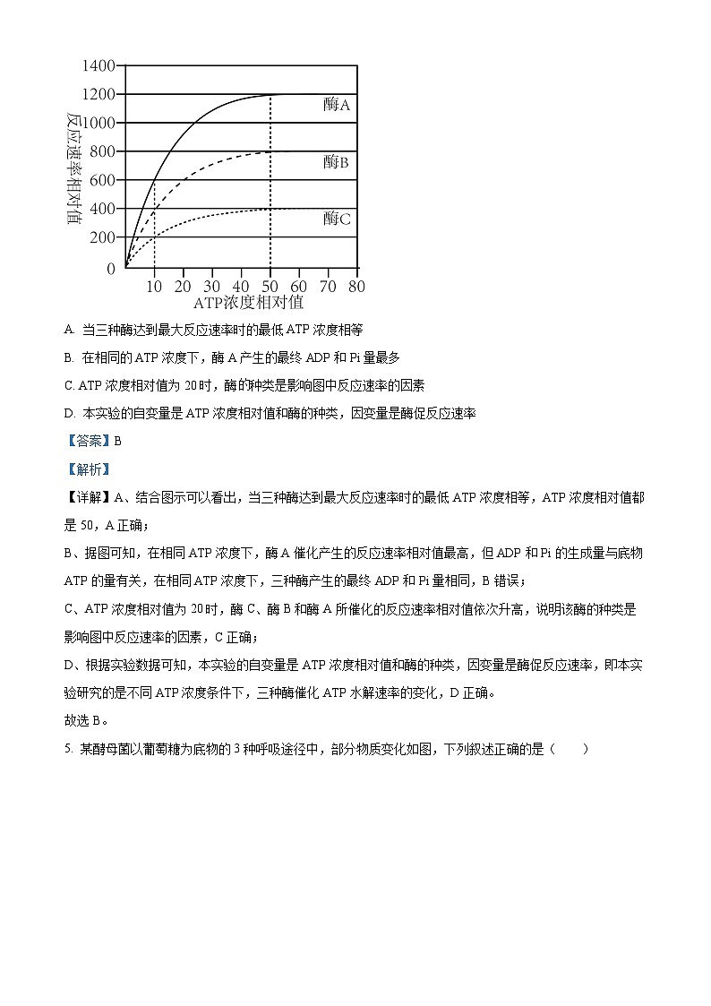 湖南省衡阳市雁峰区衡阳市第八中学2025-2026学年高三上学期11月期中生物试题 Word版含解析第3页