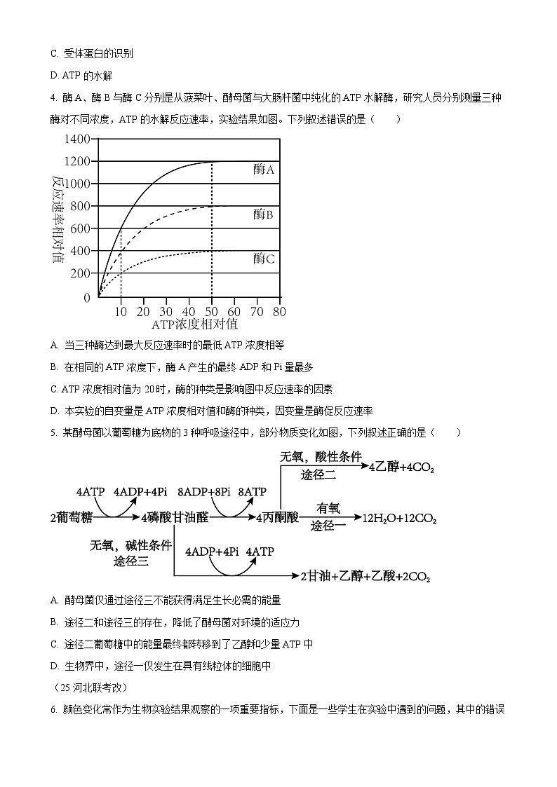 湖南省衡阳市雁峰区衡阳市第八中学2025-2026学年高三上学期11月期中生物试题（原卷版）第2页