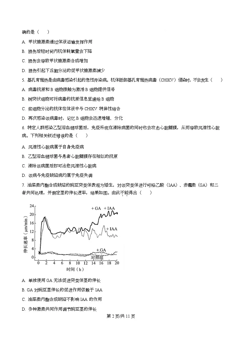 北京市海淀区2025-2026学年高三上学期期中生物试题 Word版无答案第2页