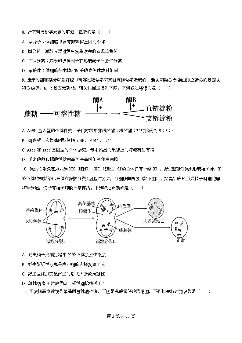 北京市海淀区2025-2026学年高三上学期期中生物试题 Word版无答案第3页