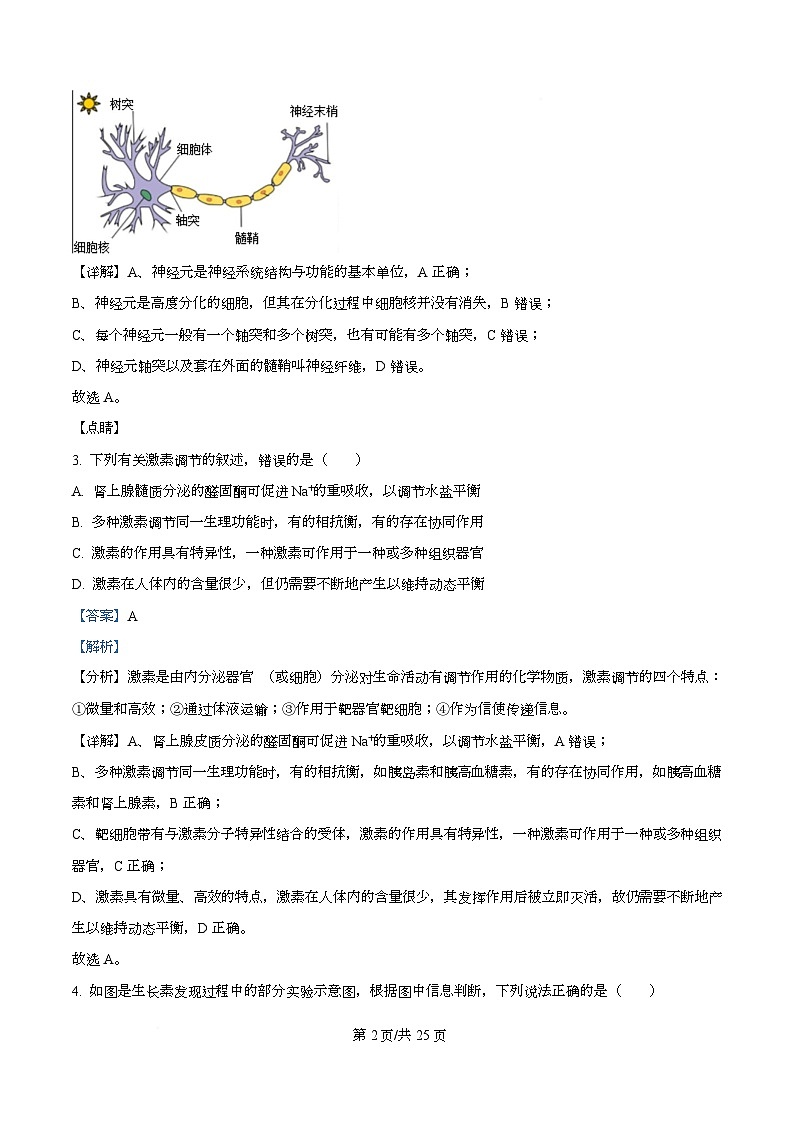 黑龙江省佳木斯市桦南县第一中学2025-2026学年高二上学期10月期中生物试题 Word版含解析第2页