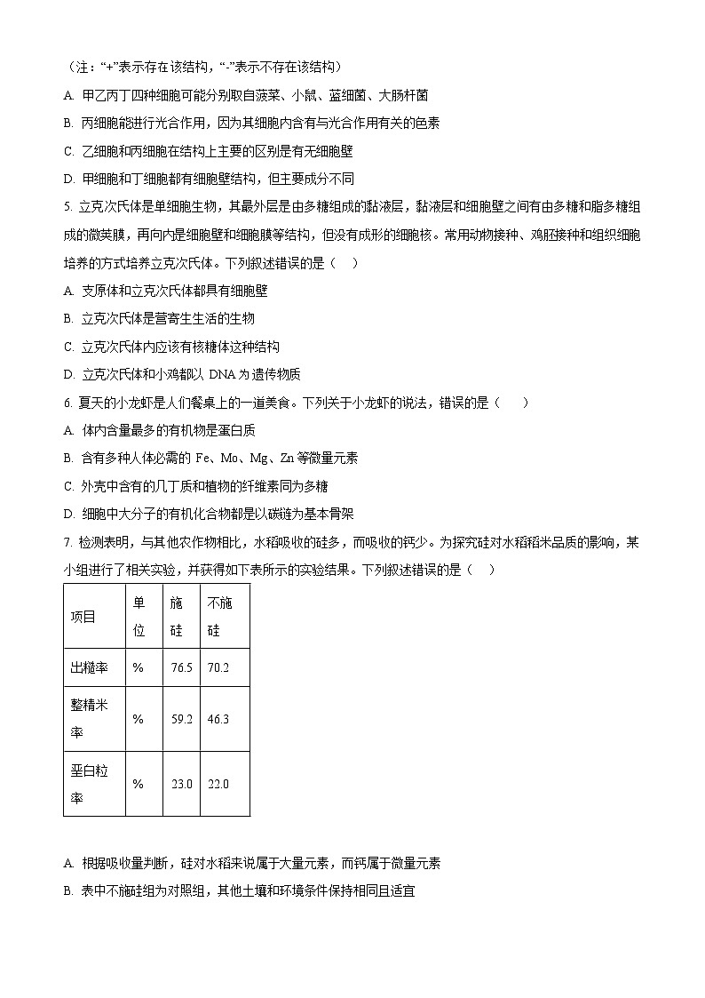 湖北省十堰市郧阳中学2025-2026学年高一上学期期中考试生物试卷第2页