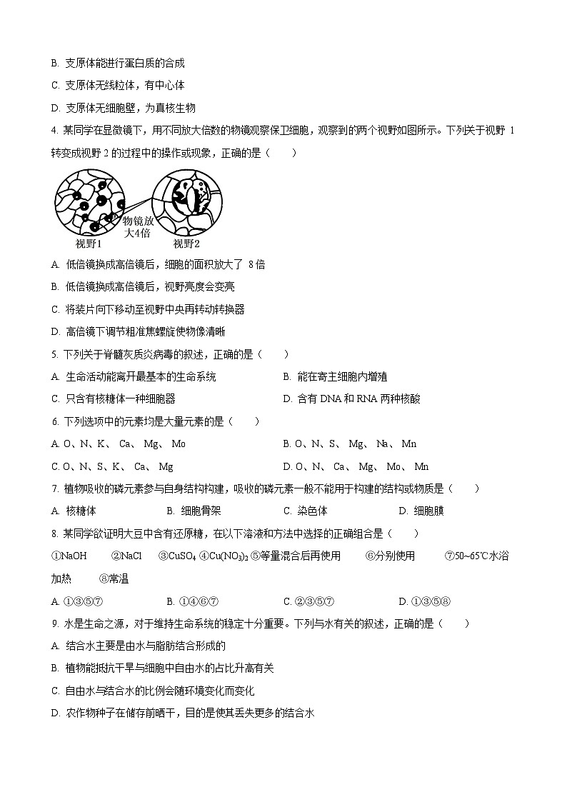 辽宁省辽阳市2025-2026学年高一上学期期中考试生物试卷第2页
