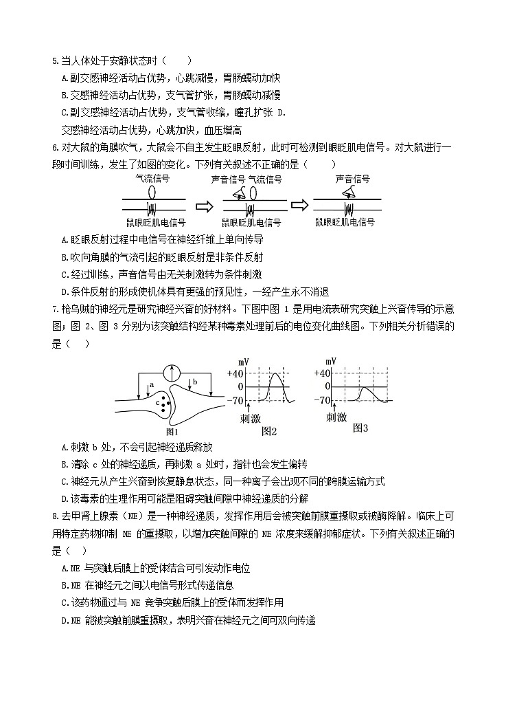 云南省玉溪第一中学2025-2026学年高二上学期期中考试生物试卷第2页