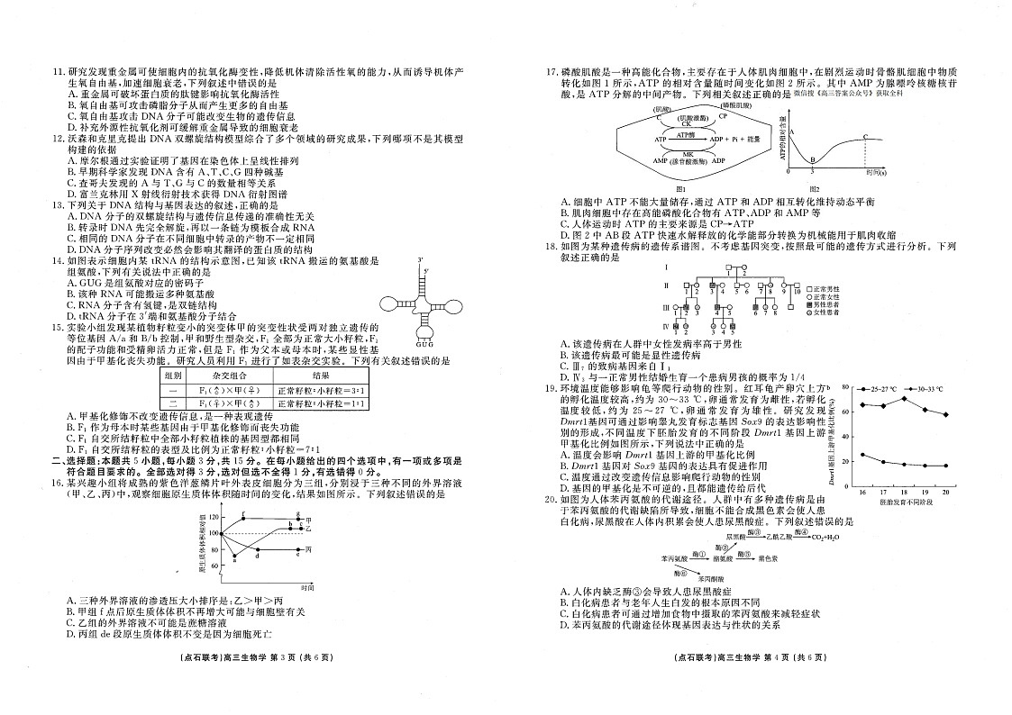 辽宁点石联考2025-2026学年高三上学期11月期中考试生物试卷第2页