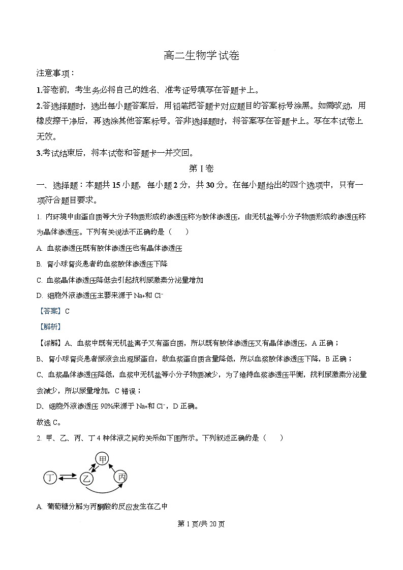 黑龙江省绥化市2025-2026学年高二上学期11月期中考试生物试题 Word版含解析第1页