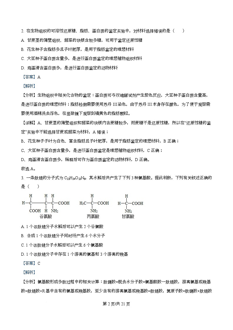黑龙江省绥化市绥棱县第一中学2024-2025学年高三上学期11月月考生物试题  Word版含解析第2页