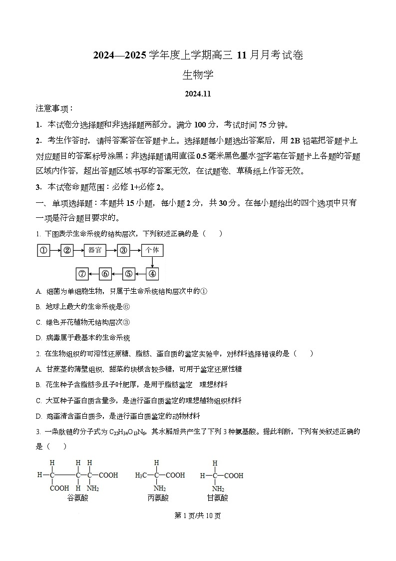 黑龙江省绥化市绥棱县第一中学2024-2025学年高三上学期11月月考生物试题  Word版无答案第1页