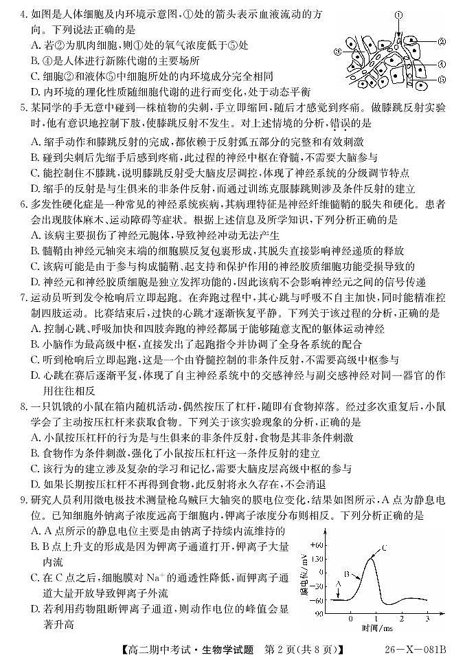 深圳盟校2025-2026学年高二上学期11月期中考试生物试题（含答案）第2页