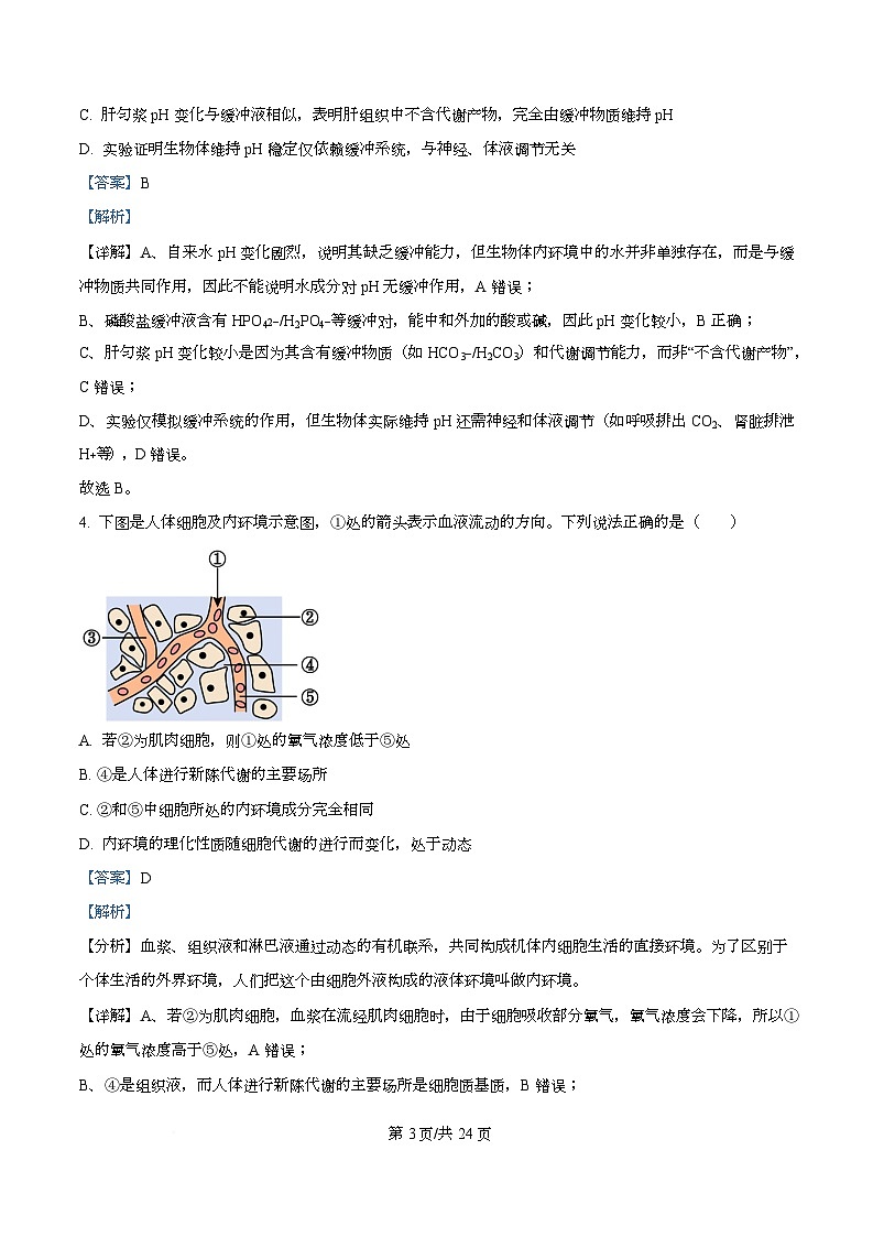 广东省深圳部分学校2025-2026学年高二上学期期中生物试题 Word版含解析第3页