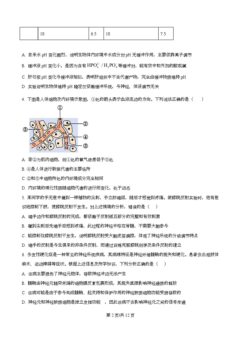 广东省深圳部分学校2025-2026学年高二上学期期中生物试题（原卷版）第2页