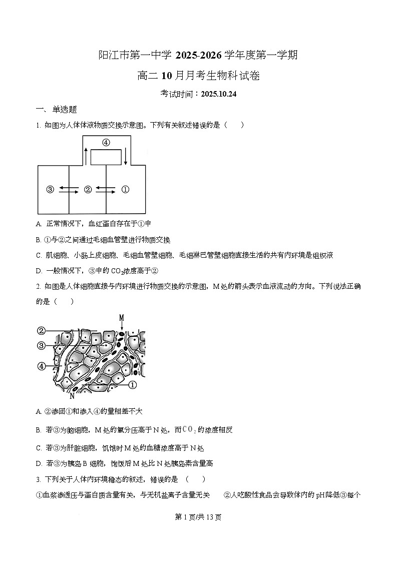 广东省阳江市第一中学2025-2026学年高二上学期10月月考生物试题 （原卷版）第1页