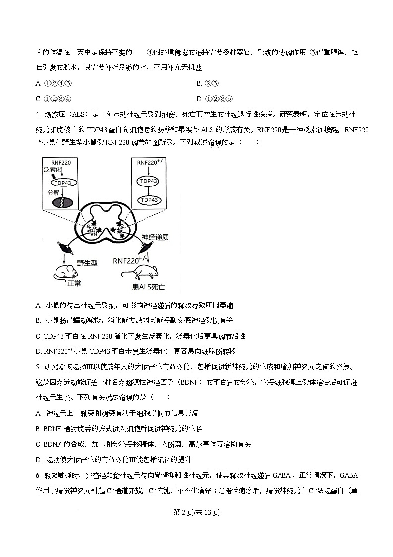 广东省阳江市第一中学2025-2026学年高二上学期10月月考生物试题 （原卷版）第2页