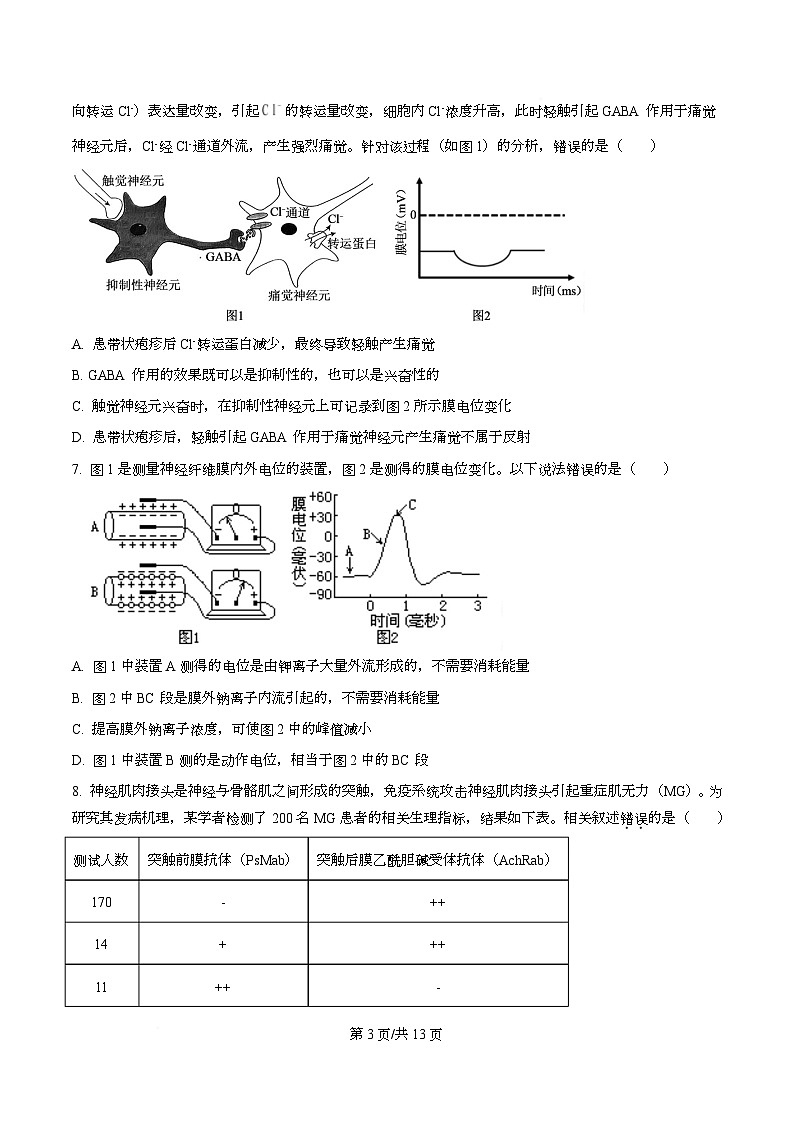 广东省阳江市第一中学2025-2026学年高二上学期10月月考生物试题 （原卷版）第3页