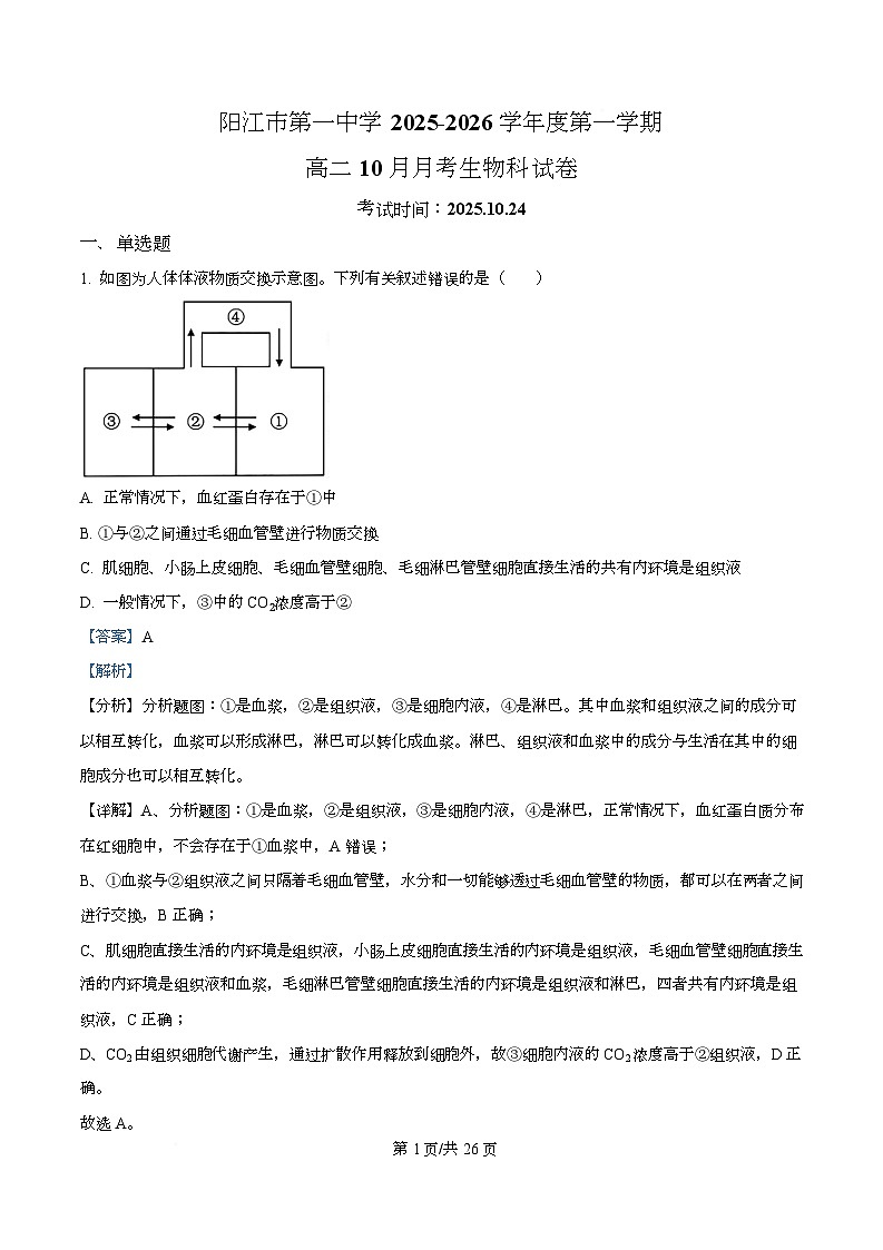 广东省阳江市第一中学2025-2026学年高二上学期10月月考生物试题 Word版含解析第1页