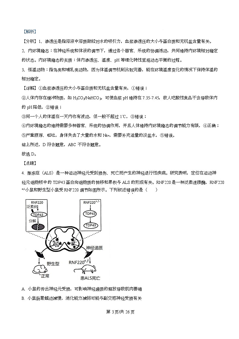 广东省阳江市第一中学2025-2026学年高二上学期10月月考生物试题 Word版含解析第3页