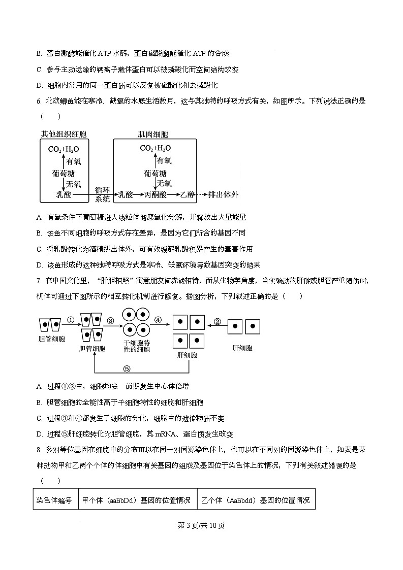 四川省成都市双流棠湖中学2026届高三上学期10月月考生物试题（原卷版）第3页