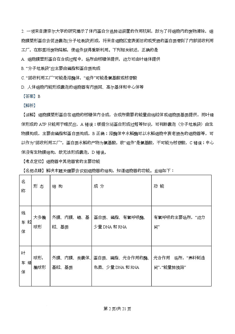 四川省成都市双流棠湖中学2026届高三上学期10月月考生物试题 Word版含解析第2页