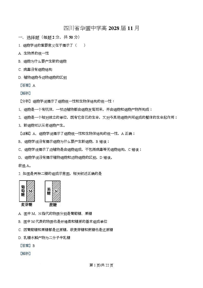 四川省华蓥中学2025-2026学年高一上学期11月期中生物试题 Word版含解析第1页
