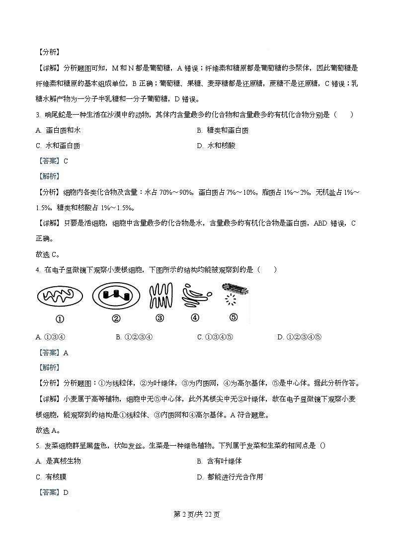 四川省华蓥中学2025-2026学年高一上学期11月期中生物试题 Word版含解析第2页
