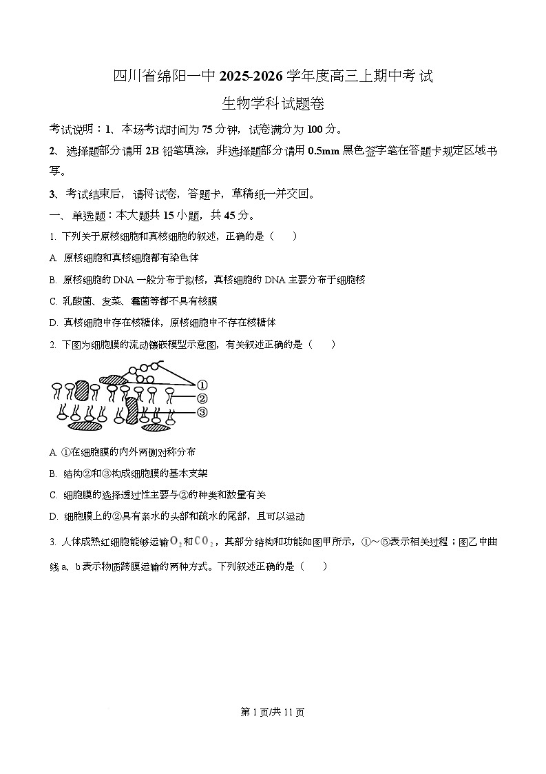 四川省绵阳市第一中学2026届高三上学期期中考试生物试题（原卷版）第1页