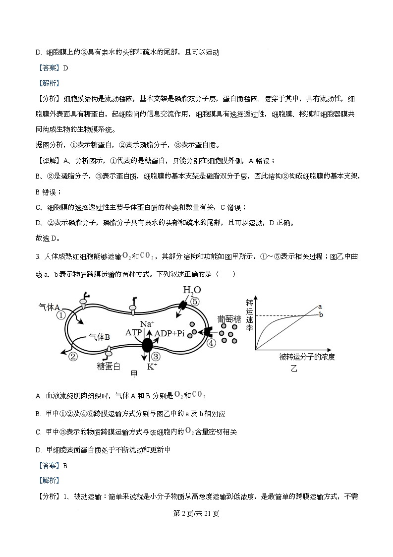 四川省绵阳市第一中学2026届高三上学期期中考试生物试题 Word版含解析第2页