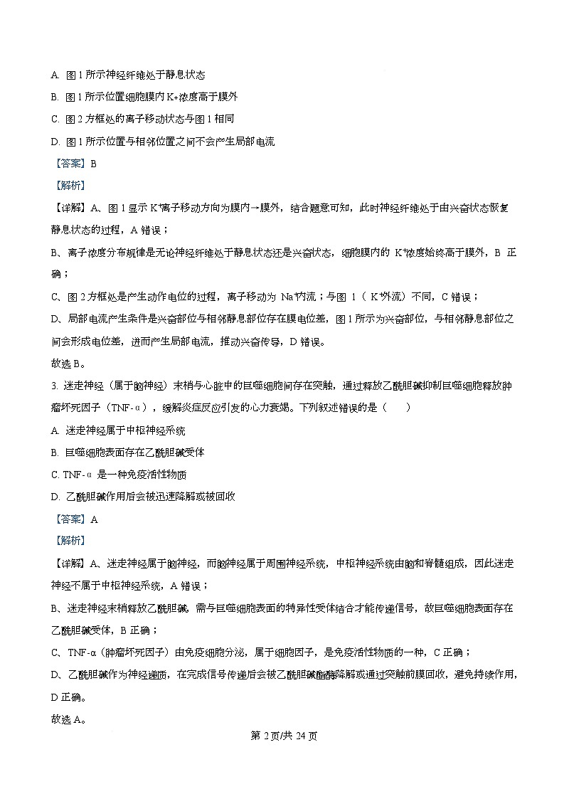 北京市海淀区2025-2026学年高三上学期期中生物试题  Word版含解析第2页