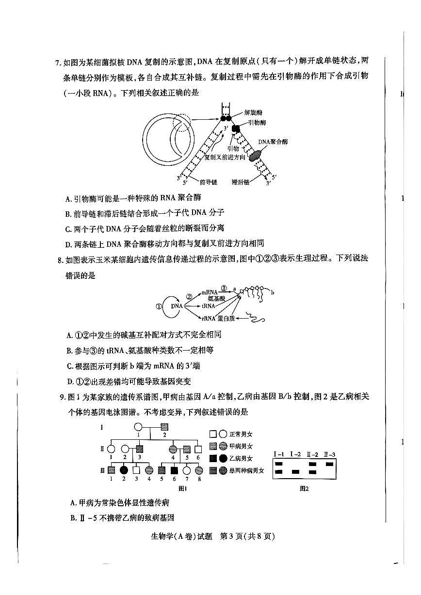 生物-河南陕西2025-2026学年高三上学期11月天一小高考（二）试题及答案第3页
