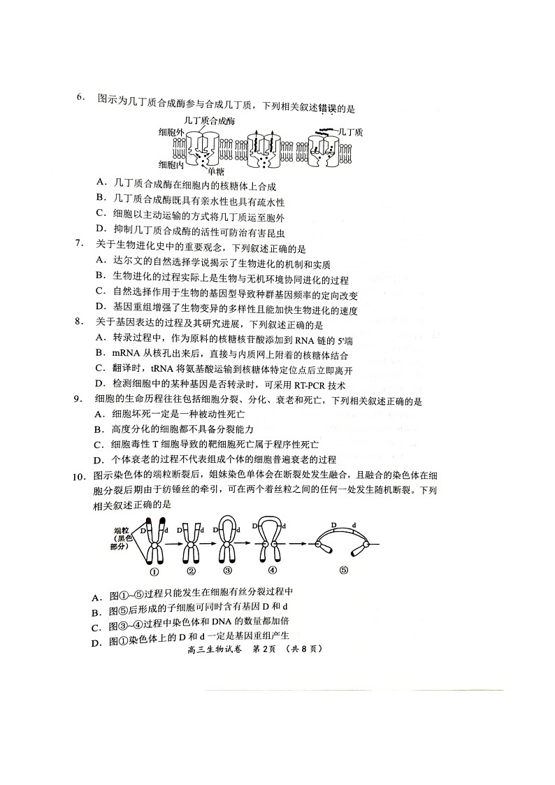 江苏省常州市2024-2025学年高三上学期11月期中生物试题第2页