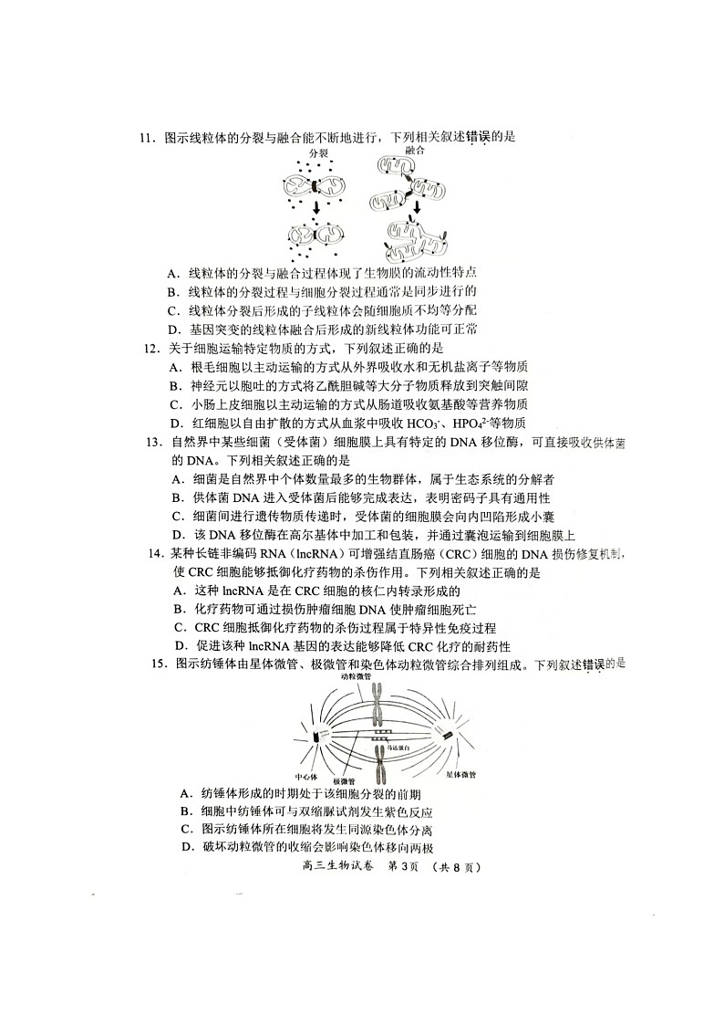 江苏省常州市2024-2025学年高三上学期11月期中生物试题第3页