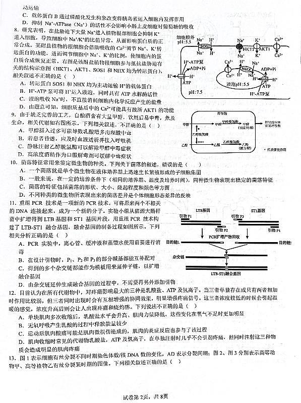 江苏省常州市第一中学2024-2025学年高三上学期开学考试生物试题第2页
