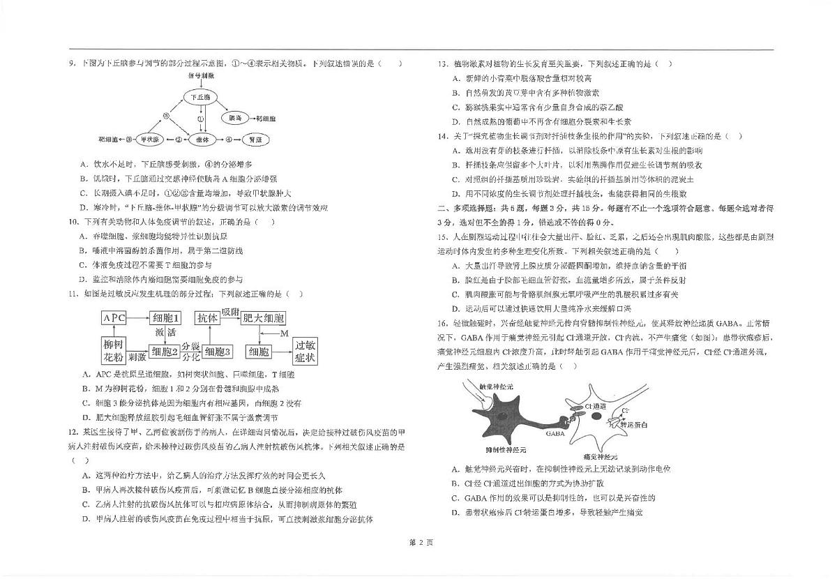 江苏省海安高级中学2024-2025学年高二上学期10月月考生物试题第2页