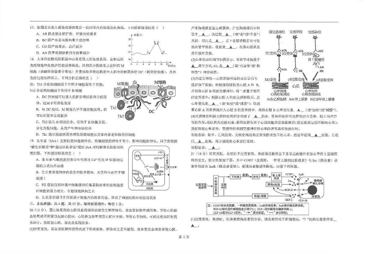 江苏省海安高级中学2024-2025学年高二上学期10月月考生物试题第3页
