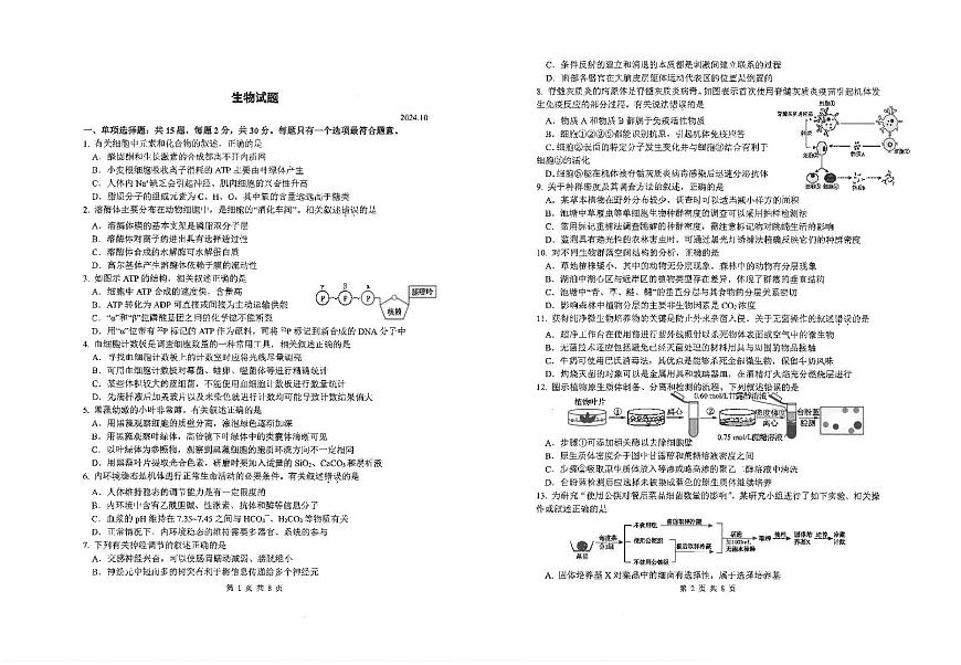 江苏省海安高级中学2024-2025学年高三上学期10月月考生物试题第1页