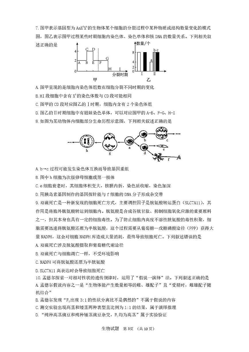 山东省济南市山东师范大学附属中学2025-2026学年高三上学期10月阶段性检测生物试题（含答案）第3页