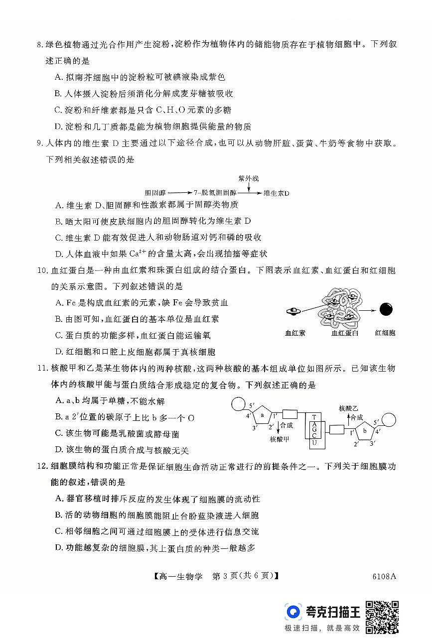 河南省新未来大联考2025-2026学年高一上学期10月末质量检测生物试题第3页
