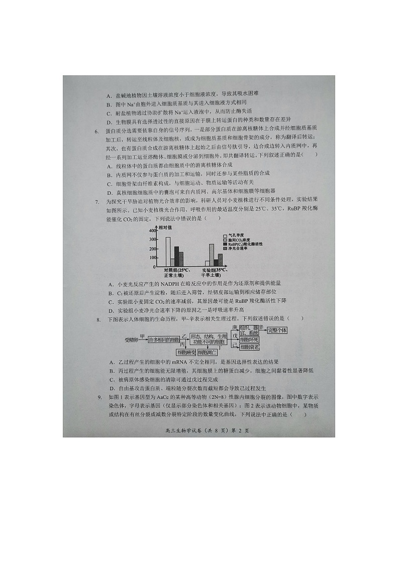 【预约】2025-2026学年度湖北省高三上学期期中考试-生物试题第2页